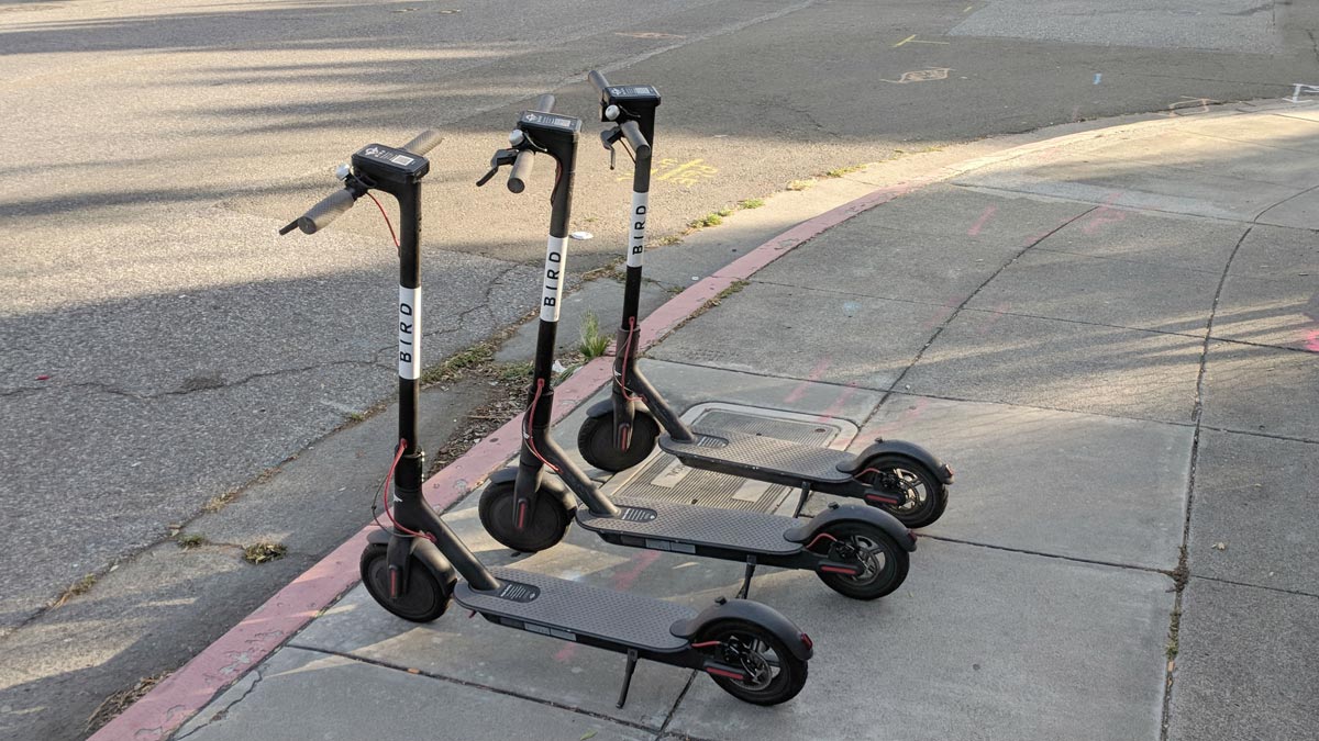 Bird Charger Rising Innovator