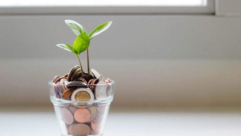 plant growing in coin jar marketing your business