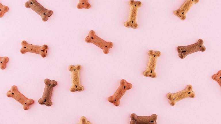 Dog treats