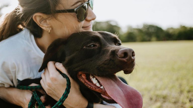 Dog with owner